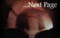 [Go to Next Page in Ring]