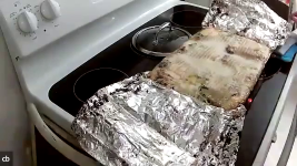 lasagna, fresh from the oven